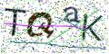 图形验证