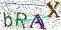 图形验证