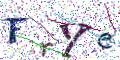 图形验证
