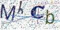 图形验证