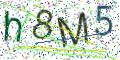 图形验证