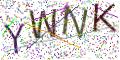 图形验证