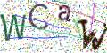 图形验证