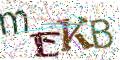 图形验证