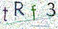 图形验证