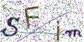 图形验证