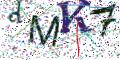 图形验证
