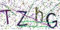 图形验证