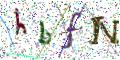 图形验证