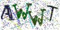 图形验证