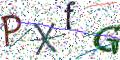图形验证