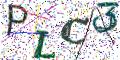 图形验证
