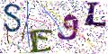 图形验证