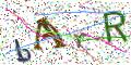 图形验证