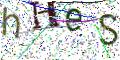 图形验证