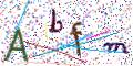 图形验证