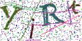 图形验证