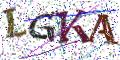 图形验证