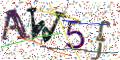 图形验证