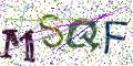 图形验证