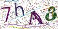 图形验证