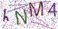 图形验证