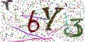 图形验证