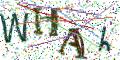 图形验证