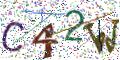 图形验证