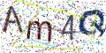 图形验证