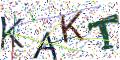 图形验证