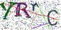 图形验证