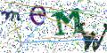 图形验证