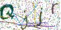 图形验证