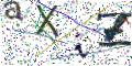 图形验证