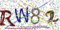 图形验证