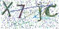 图形验证