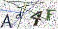 图形验证