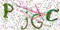 图形验证