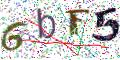 图形验证