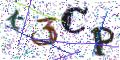 图形验证