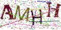 图形验证