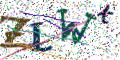 图形验证