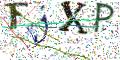 图形验证