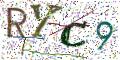图形验证