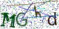 图形验证