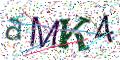 图形验证