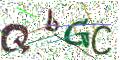 图形验证