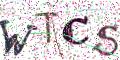 图形验证