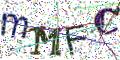 图形验证